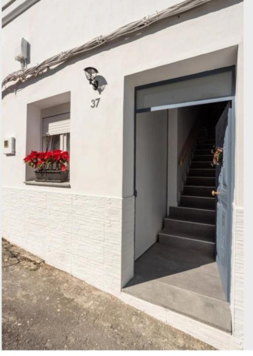 Casa Chano Estudio Confortable Tenerife Icod De Los Vinos Exterior photo